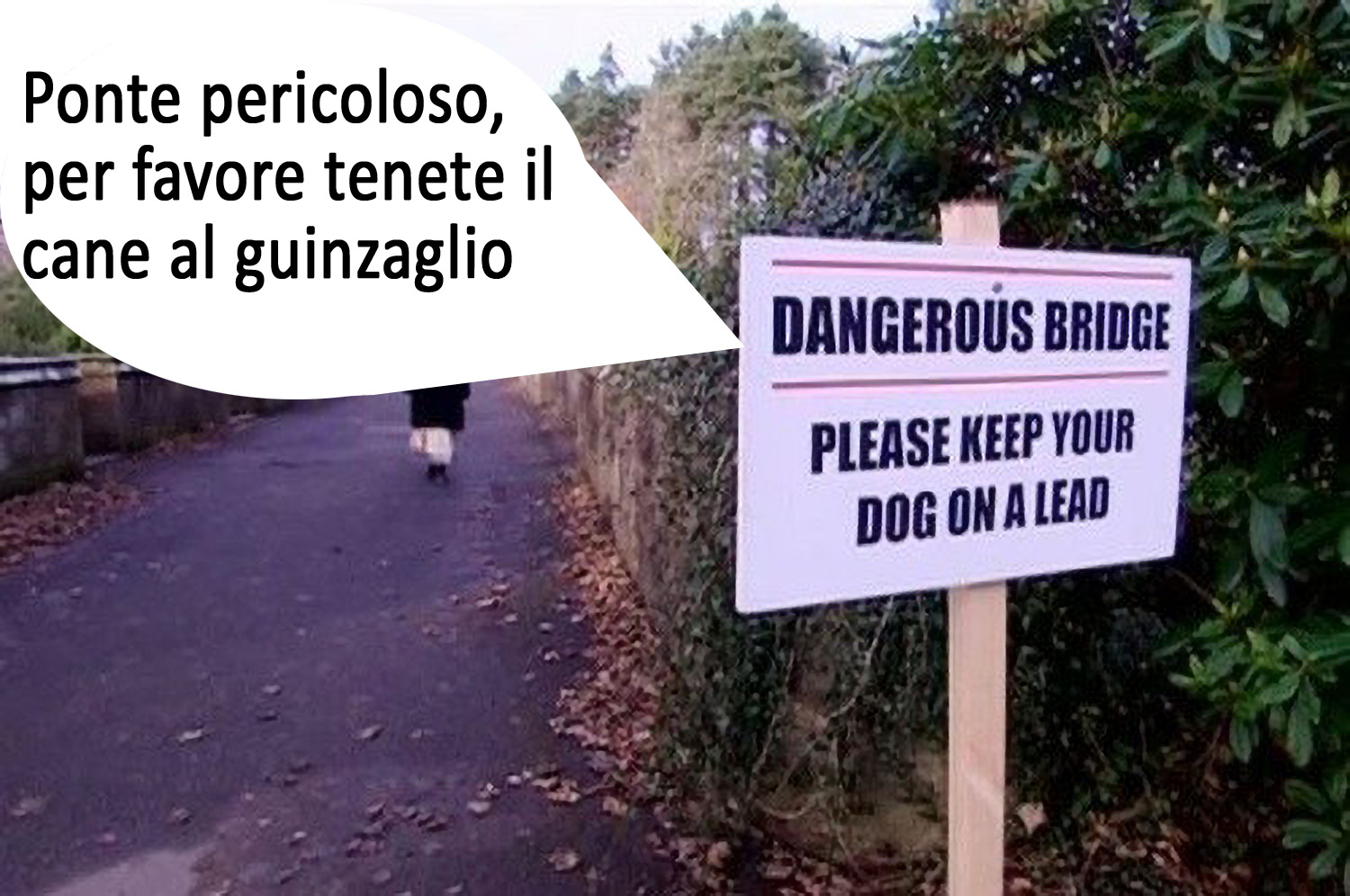 Overtoun Bridge: la leggenda del Ponte dei cani “suicidi”