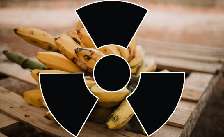 La storia delle banane radioattive: un’affascinante scoperta scientifica