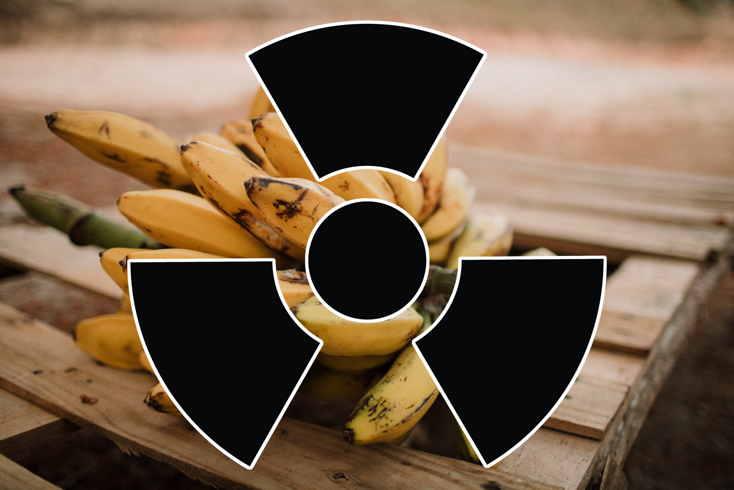 La storia delle banane radioattive: un’affascinante scoperta scientifica